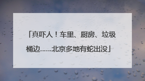 真吓人！车里、厨房、垃圾桶边……北京多地有蛇出没