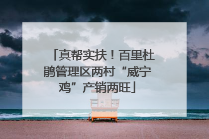 真帮实扶！百里杜鹃管理区两村“威宁鸡”产销两旺