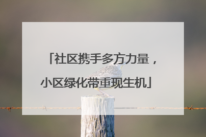 社区携手多方力量，小区绿化带重现生机