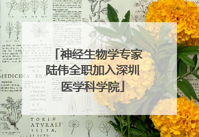 神经生物学专家陆伟全职加入深圳医学科学院