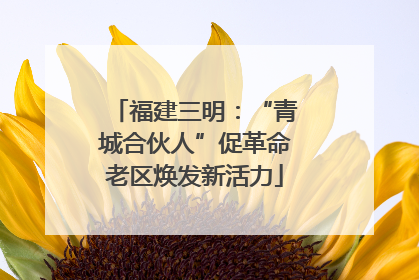 福建三明：“青城合伙人”促革命老区焕发新活力