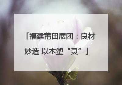福建莆田展团：良材妙造 以木塑“灵”