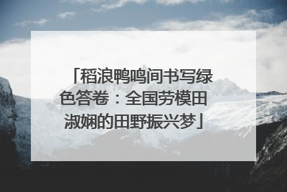 稻浪鸭鸣间书写绿色答卷：全国劳模田淑娴的田野振兴梦