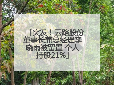突发！云路股份董事长兼总经理李晓雨被留置 个人持股21%