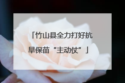 竹山县全力打好抗旱保苗“主动仗”