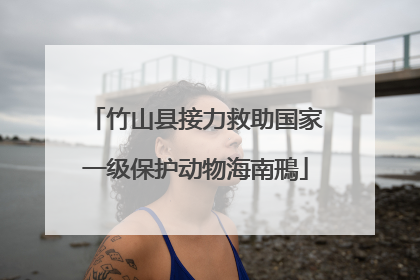 竹山县接力救助国家一级保护动物海南鳽