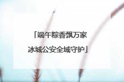 端午粽香飘万家 冰城公安全域守护