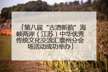 第八届“古漕新韵”海峡两岸（江苏）中华优秀传统文化交流汇泰州分会场活动成功举办