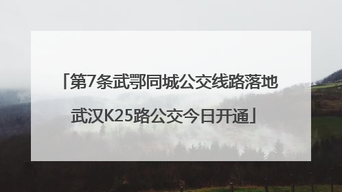 第7条武鄂同城公交线路落地 武汉K25路公交今日开通