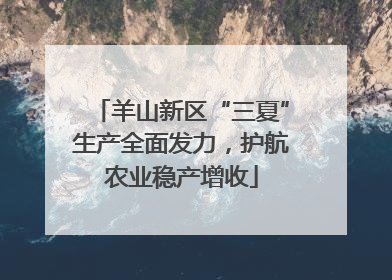 羊山新区“三夏”生产全面发力，护航农业稳产增收