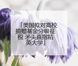 美国拟对高校捐赠基金分级征税 矛头直指精英大学