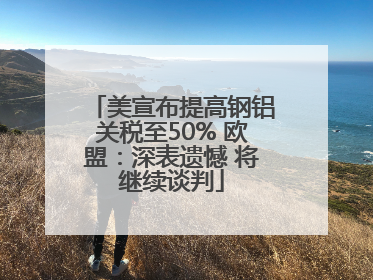 美宣布提高钢铝关税至50% 欧盟：深表遗憾 将继续谈判