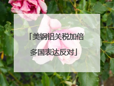 美钢铝关税加倍 多国表达反对