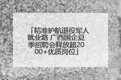 精准护航退役军人就业路 广西国企夏季招聘会释放超2000+优质岗位