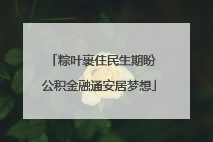 粽叶裹住民生期盼 公积金融通安居梦想