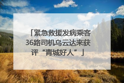紧急救援发病乘客 36路司机乌云达来获评“青城好人”