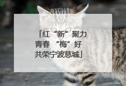 红“新”聚力青春 “梅”好共荣宁波慈城