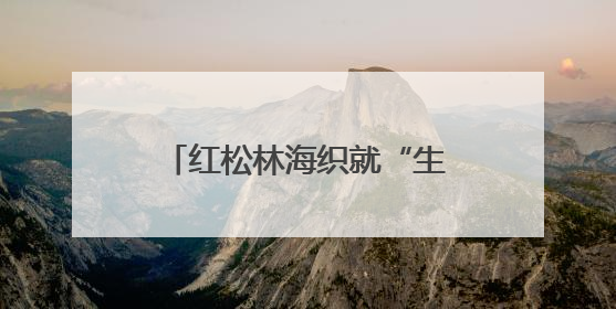 红松林海织就“生态+”富民画卷