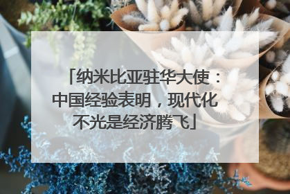 纳米比亚驻华大使：中国经验表明，现代化不光是经济腾飞
