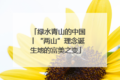 绿水青山的中国丨“两山”理念诞生地的富美之变