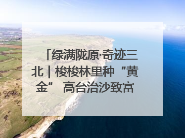 绿满陇原·奇迹三北｜梭梭林里种“黄金” 高台治沙致富很“从容”