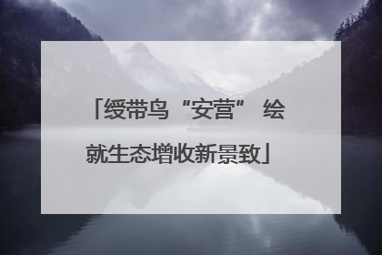 绶带鸟“安营” 绘就生态增收新景致