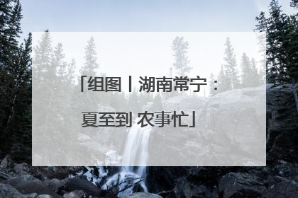 组图丨湖南常宁：夏至到 农事忙