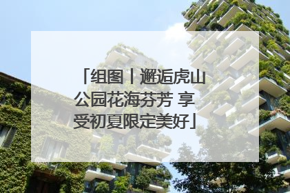 组图丨邂逅虎山公园花海芬芳 享受初夏限定美好