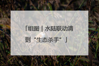 组图｜水陆联动清剿“生态杀手”