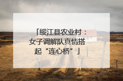 绥江县农业村：女子调解队真情搭起“连心桥”
