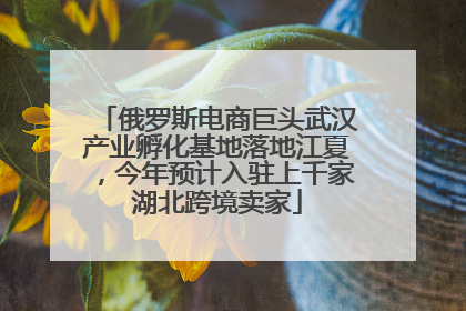 俄罗斯电商巨头武汉产业孵化基地落地江夏，今年预计入驻上千家湖北跨境卖家