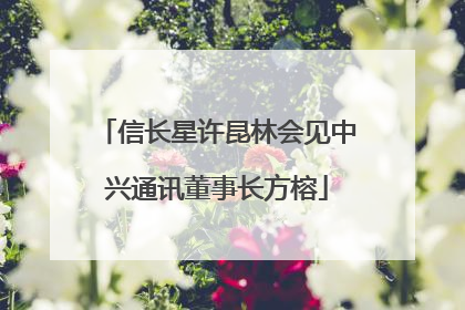 信长星许昆林会见中兴通讯董事长方榕