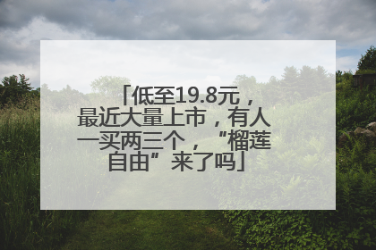 低至19.8元，最近大量上市，有人一买两三个，“榴莲自由”来了吗