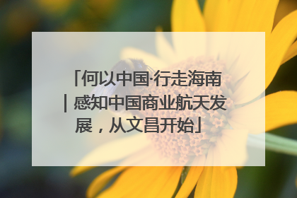 何以中国·行走海南｜感知中国商业航天发展，从文昌开始