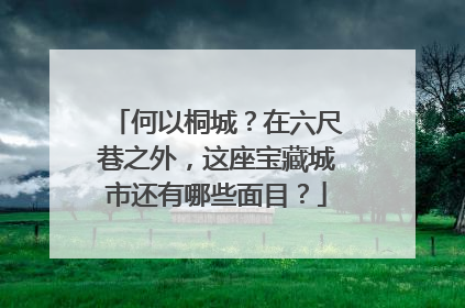 何以桐城？在六尺巷之外，这座宝藏城市还有哪些面目？