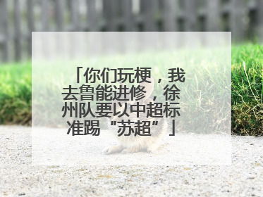 你们玩梗，我去鲁能进修，徐州队要以中超标准踢“苏超”
