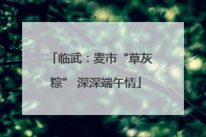 临武：麦市“草灰粽” 深深端午情