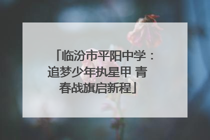 临汾市平阳中学：追梦少年执星甲 青春战旗启新程