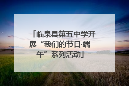 临泉县第五中学开展“我们的节日·端午”系列活动