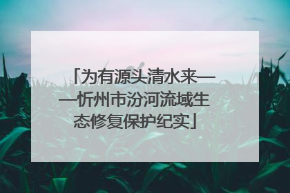 为有源头清水来——忻州市汾河流域生态修复保护纪实