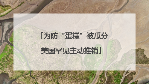 为防“蛋糕”被瓜分 美国罕见主动推销