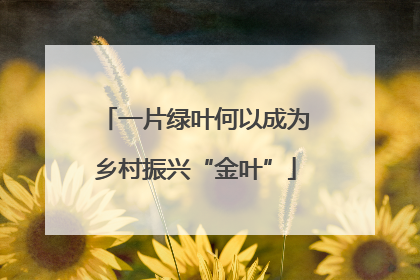 一片绿叶何以成为乡村振兴“金叶”