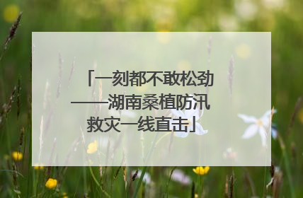 一刻都不敢松劲——湖南桑植防汛救灾一线直击