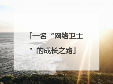 一名“网络卫士”的成长之路