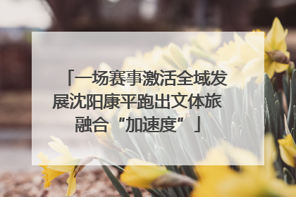一场赛事激活全域发展沈阳康平跑出文体旅融合“加速度”