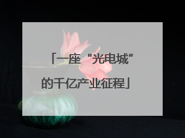一座“光电城”的千亿产业征程