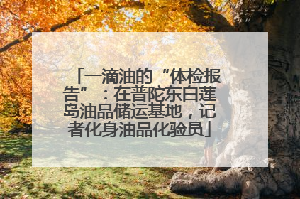 一滴油的“体检报告”：在普陀东白莲岛油品储运基地，记者化身油品化验员