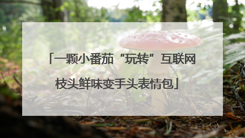 一颗小番茄“玩转”互联网 枝头鲜味变手头表情包