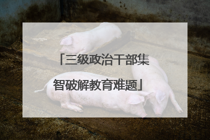 三级政治干部集智破解教育难题
