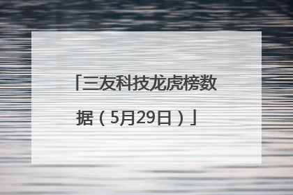 三友科技龙虎榜数据（5月29日）